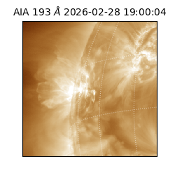 saia - 2026-02-28T19:00:04.835000