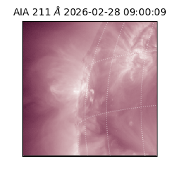 saia - 2026-02-28T09:00:09.618000