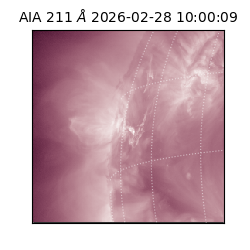 saia - 2026-02-28T10:00:09.626000