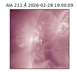 saia - 2026-02-28T19:00:09.618000