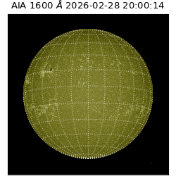 saia - 2026-02-28T20:00:14.126000