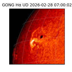 gong - 2026-02-28T07:00:02