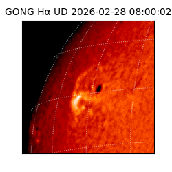 gong - 2026-02-28T08:00:02