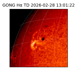 gong - 2026-02-28T13:01:22