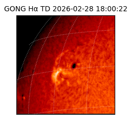 gong - 2026-02-28T18:00:22