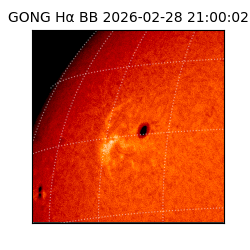 gong - 2026-02-28T21:00:02