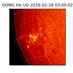 gong - 2026-02-28T03:00:02