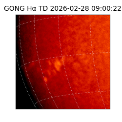 gong - 2026-02-28T09:00:22