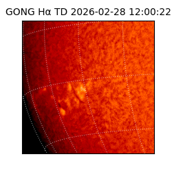 gong - 2026-02-28T12:00:22