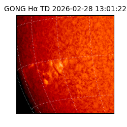 gong - 2026-02-28T13:01:22