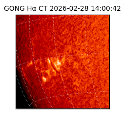 gong - 2026-02-28T14:00:42