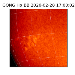 gong - 2026-02-28T17:00:02