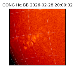 gong - 2026-02-28T20:00:02