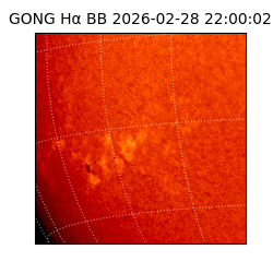 gong - 2026-02-28T22:00:02