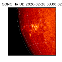 gong - 2026-02-28T03:00:02