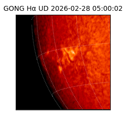gong - 2026-02-28T05:00:02