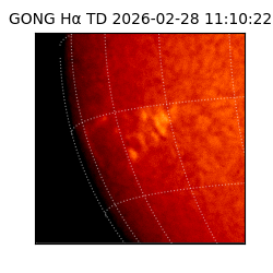 gong - 2026-02-28T11:10:22