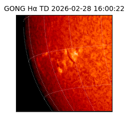 gong - 2026-02-28T16:00:22