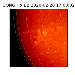 gong - 2026-02-28T17:00:02