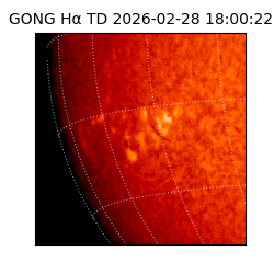 gong - 2026-02-28T18:00:22