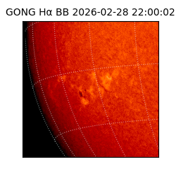 gong - 2026-02-28T22:00:02
