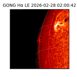 gong - 2026-02-28T02:00:42