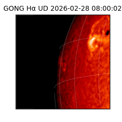 gong - 2026-02-28T08:00:02