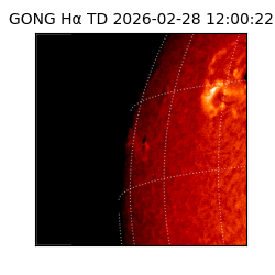 gong - 2026-02-28T12:00:22