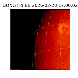 gong - 2026-02-28T17:00:02