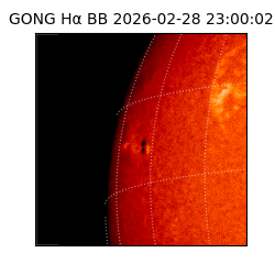 gong - 2026-02-28T23:00:02