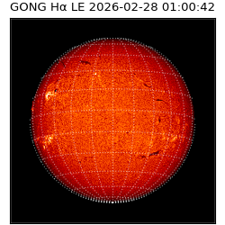 gong - 2026-02-28T01:00:42
