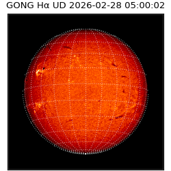 gong - 2026-02-28T05:00:02