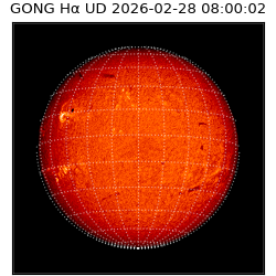 gong - 2026-02-28T08:00:02