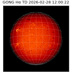 gong - 2026-02-28T12:00:22