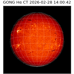 gong - 2026-02-28T14:00:42