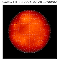 gong - 2026-02-28T17:00:02