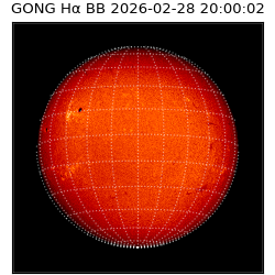 gong - 2026-02-28T20:00:02