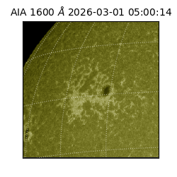 saia - 2026-03-01T05:00:14.124000