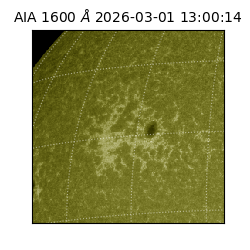 saia - 2026-03-01T13:00:14.131000