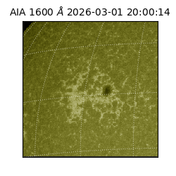 saia - 2026-03-01T20:00:14.131000