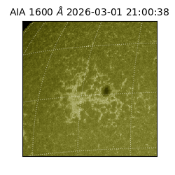 saia - 2026-03-01T21:00:38.126000