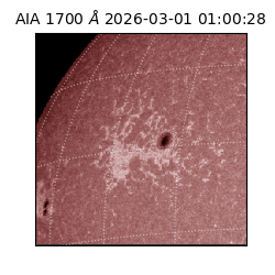 saia - 2026-03-01T01:00:28.717000