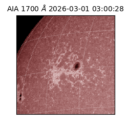 saia - 2026-03-01T03:00:28.721000