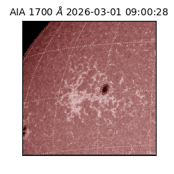 saia - 2026-03-01T09:00:28.717000