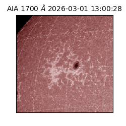 saia - 2026-03-01T13:00:28.709000