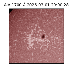 saia - 2026-03-01T20:00:28.717000