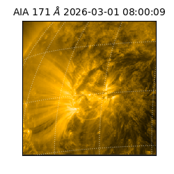 saia - 2026-03-01T08:00:09.343000