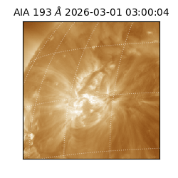 saia - 2026-03-01T03:00:04.839000