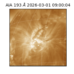 saia - 2026-03-01T09:00:04.835000