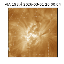 saia - 2026-03-01T20:00:04.843000